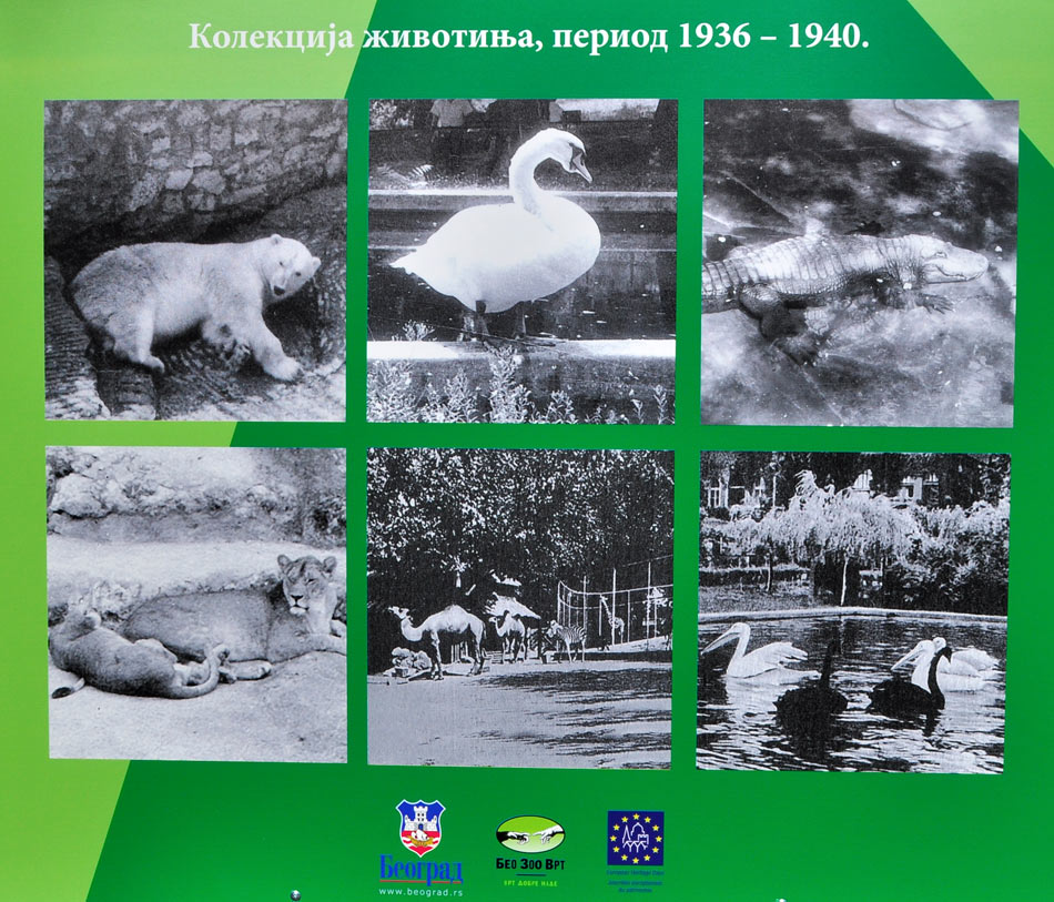 evropska_kulturna_bastina_04