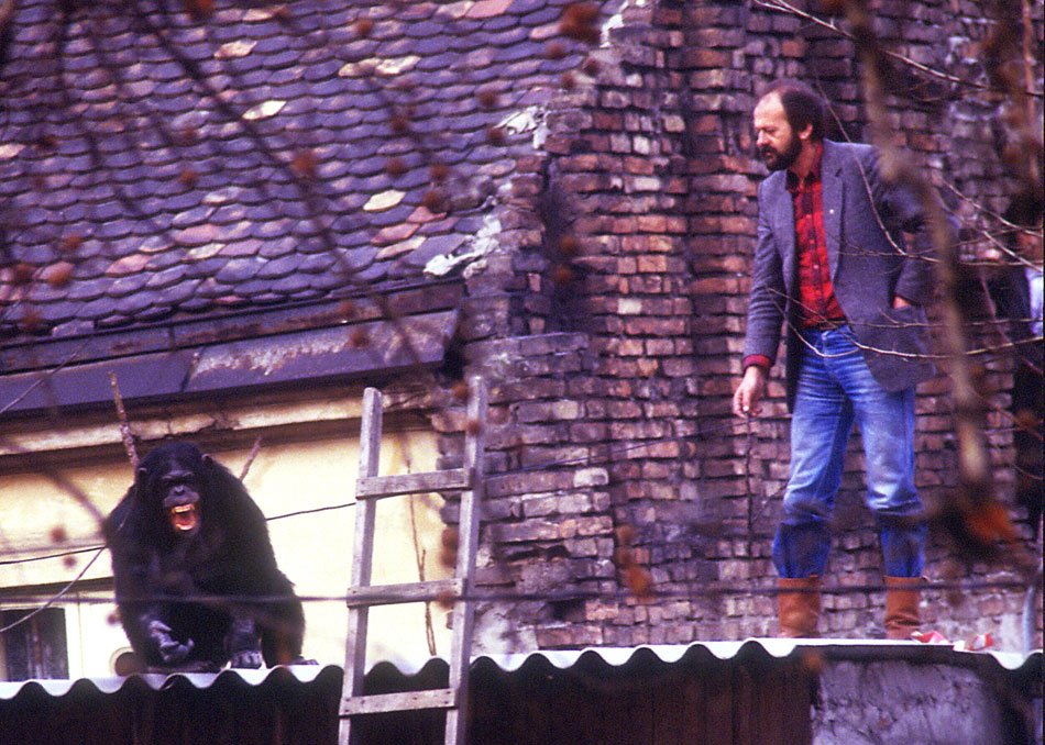 2017-05-21-noc-muz-3180s