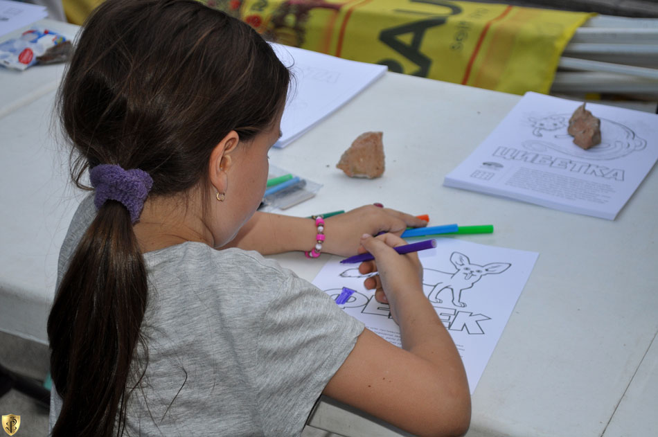 2017-05-21-noc-muzeja---Zoran-Rajic-2s