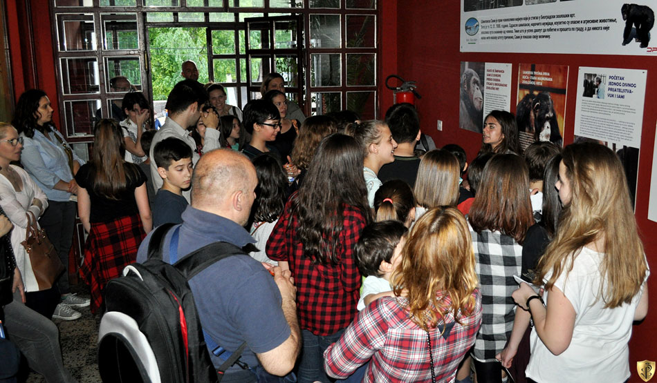 2017-05-21-noc-muzeja---Zoran-Rajic-3s