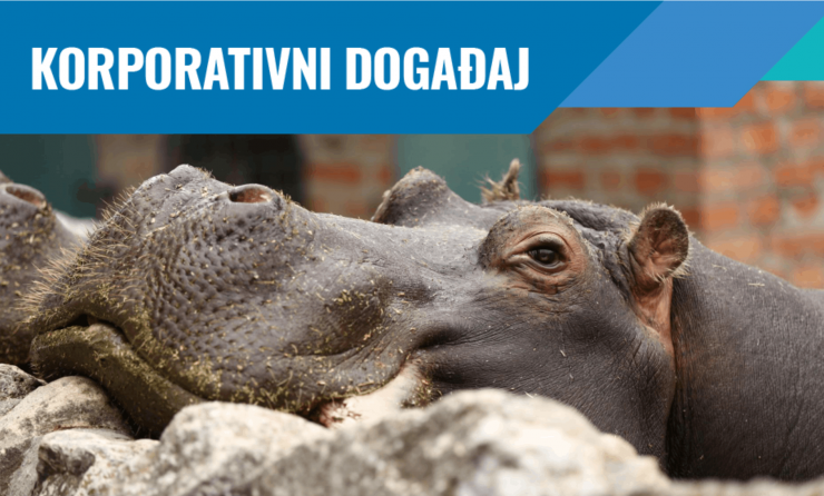 korporativni dogadjaji u beo zoo vrtu