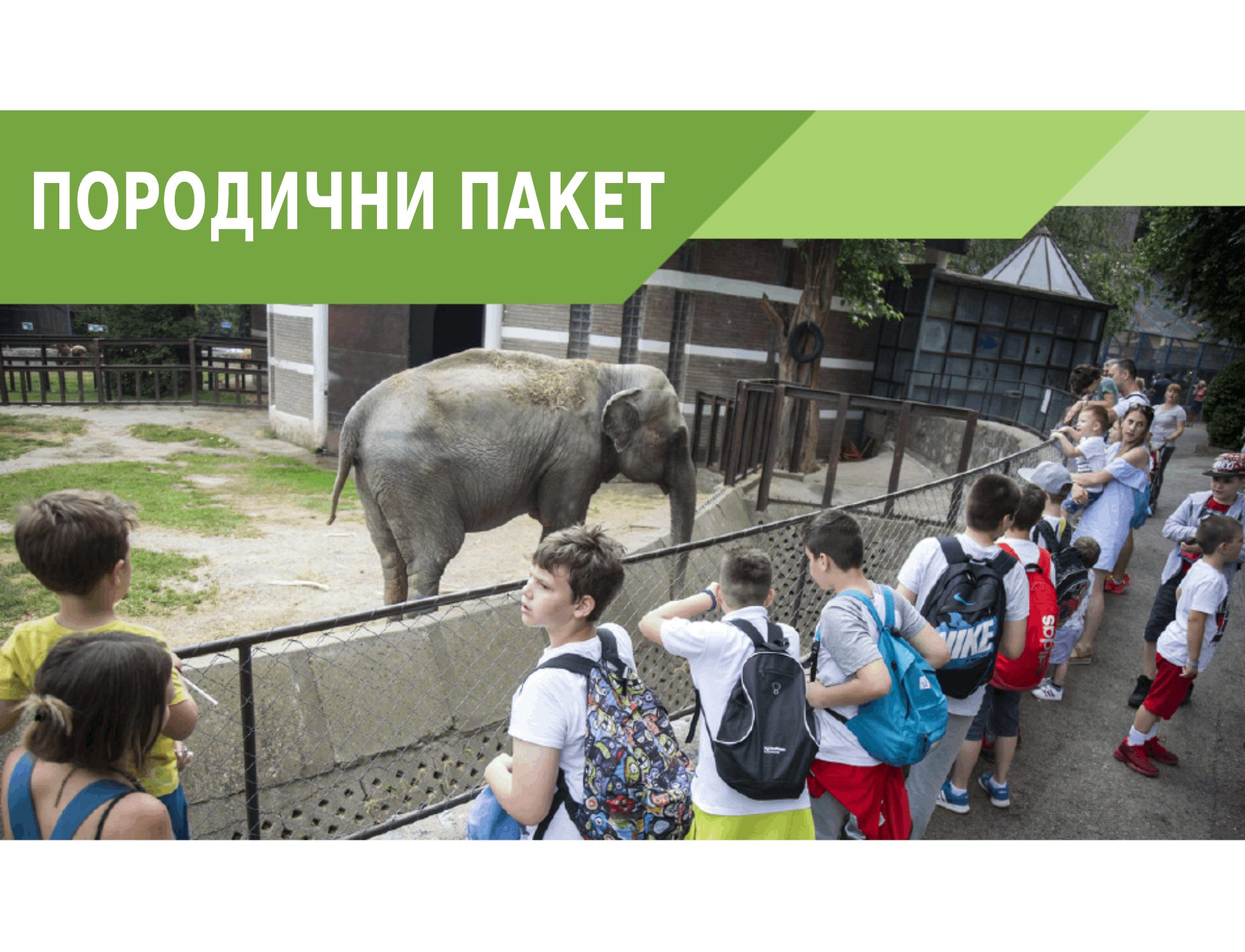 porodični paket header ЋИР porodični paket header ЋИР